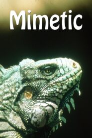Mimetic 2004 on netflix