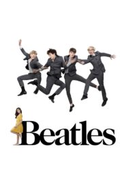 Beatles 2014 on netflix