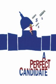 A Perfect Candidate 1996 on netflix
