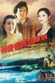 相爱在西双版纳 1997 on netflix