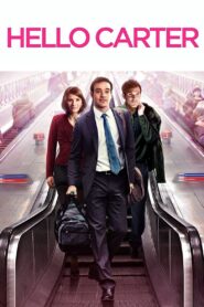 Hello Carter 2013 on netflix