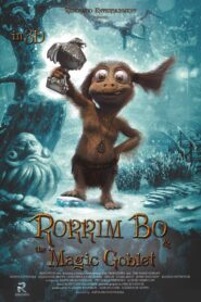 Rorrim Bo & The Magic Goblet 2011 on netflix