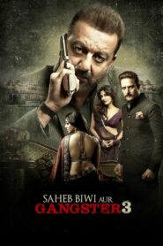 Saheb, Biwi Aur Gangster 3 2018 on netflix