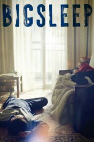 Big Sleep 2023 on netflix