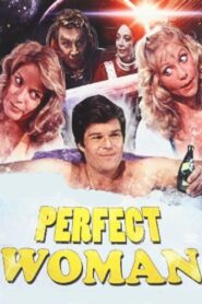 The Perfect Woman 1981 on netflix