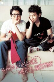 When Romance Meets Destiny 2005 on netflix