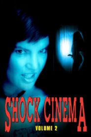 Shock Cinema: Volume Two 1991 on netflix