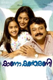 Kana Kanmani 2009 on netflix