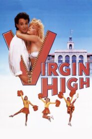 Virgin High 1991 on netflix