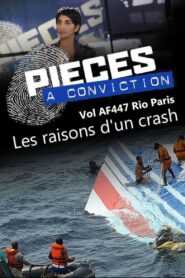 Pièces à conviction – Vol AF447 Rio Paris – Les raisons d’un crash 2013 on netflix