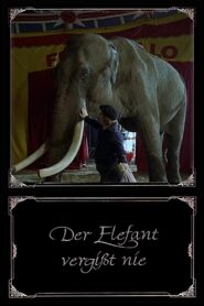 The Elephant Never Forgets 1996 on netflix