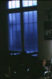Home Movies 1971-81 1985 on netflix