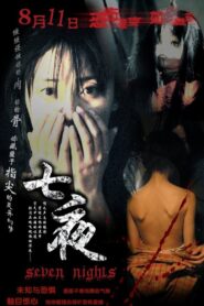 Seven Nights 2005 on netflix