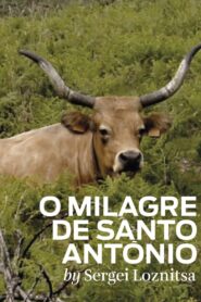 The Miracle of Saint Anthony 2012 on netflix