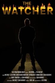 The Watcher 2011 on netflix