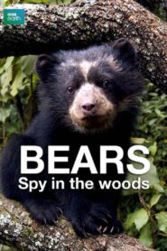 Bears: Spy in the Woods 2004 on netflix