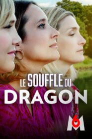 Le souffle du dragon 2022 on netflix