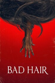 Bad Hair 2021 on netflix