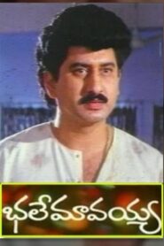 Bhale Mavayya 1994 on netflix