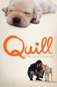 Quill: The Life of a Guide Dog 2004 on netflix