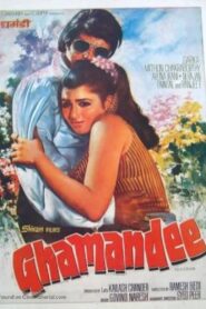 Ghamandee 1981 on netflix