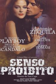 Senso proibito 1995 on netflix