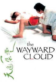 The Wayward Cloud 2005 on netflix