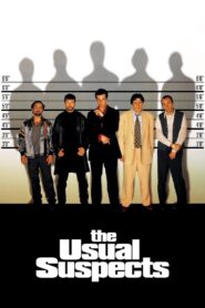The Usual Suspects 1995 on netflix