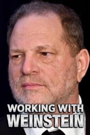 Working With Weinstein 2018 on netflix