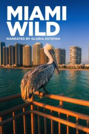 Miami Wild 2022 on netflix