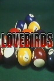 Love Birds 1988 on netflix