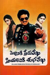 Pellaniki Premalekha Priyuraliki Subhalekha 1992 on netflix