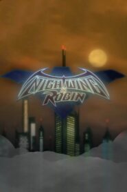 Nightwing and Robin 2015 on netflix