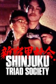 Shinjuku Triad Society 1995 on netflix