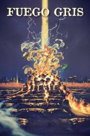 Grey Fire 1994 on netflix