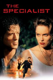 The Specialist 1994 on netflix