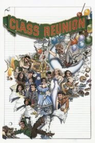 Class Reunion 1982 on netflix