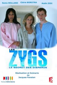 Les Zygs, le Secret des Disparus 2007 on netflix
