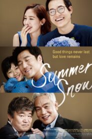 Summer Snow 2015 on netflix