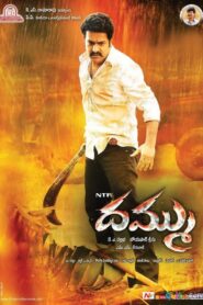 Dhammu 2012 on netflix