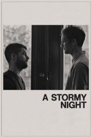 A Stormy Night 2020 on netflix