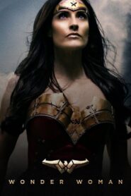 Wonder Woman 2013 on netflix