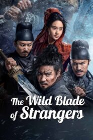 The Wild Blade of Strangers 2024 on netflix