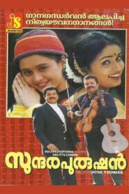 Sundarapurushan 2001 on netflix