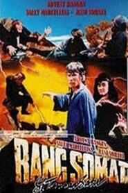 One-Armed Silat Boxer 1991 on netflix