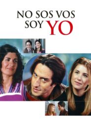 It’s Not You, It’s Me 2004 on netflix