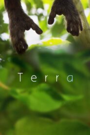 Terra 2015 on netflix