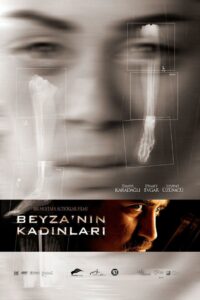 Shattered Soul 2006 on netflix