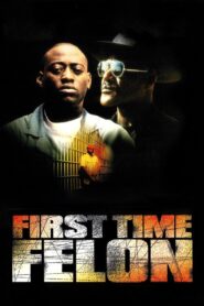 First Time Felon 1997 on netflix