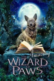 The Amazing Wizard of Paws 2015 on netflix